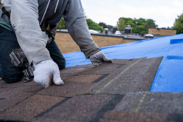 Roof Gutter Cleaning in Clatskanie, OR